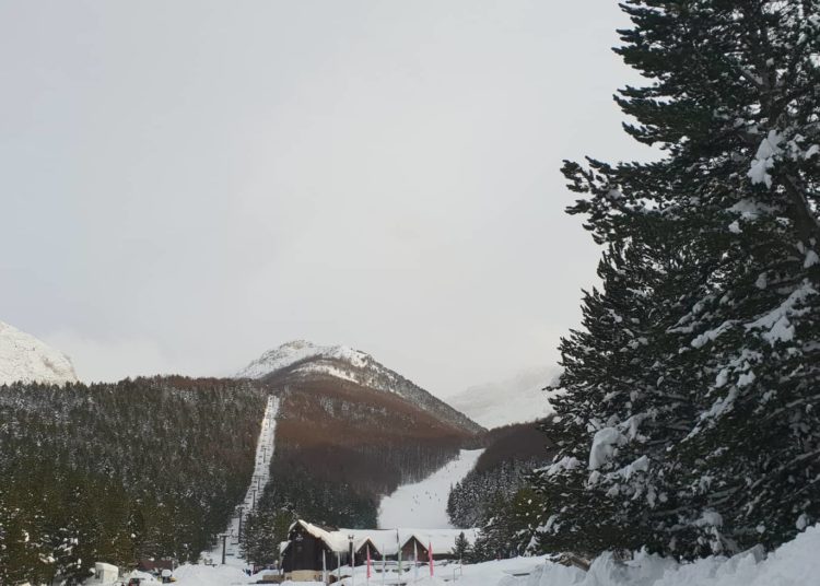 Fotoreportaža s Blidinja: Nedjelja privukla na tisuće gostiju iz Hercegovine i Dalmacije
