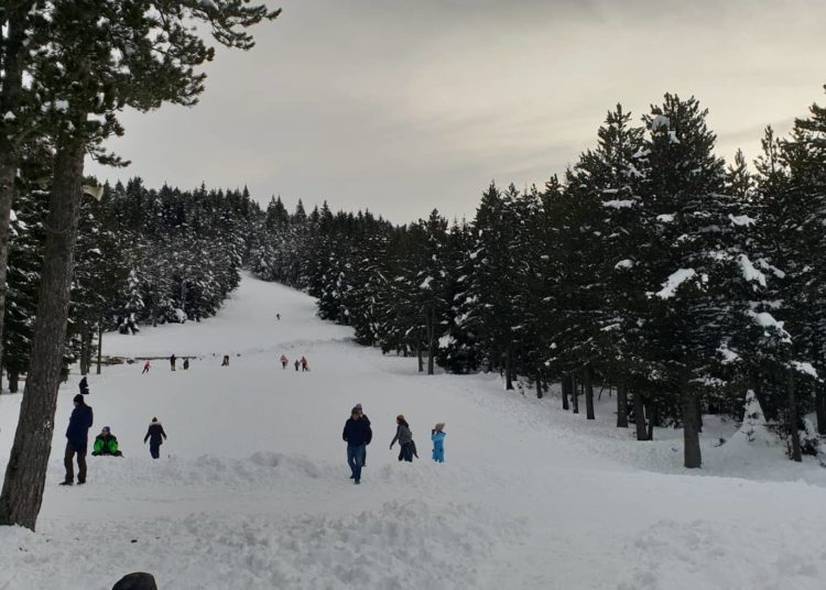 Fotoreportaža s Blidinja: Nedjelja privukla na tisuće gostiju iz Hercegovine i Dalmacije