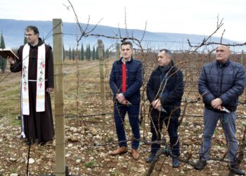 Tomić: Sveučilište u Mostaru ulazi u proizvodnju eko-hrane