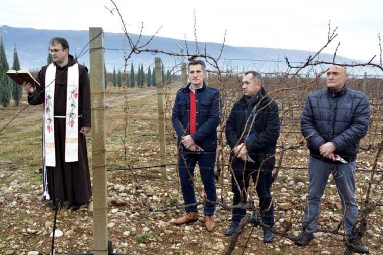 Tomić: Sveučilište u Mostaru ulazi u proizvodnju eko-hrane