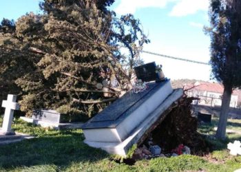 Čapljina: Stabla polomila grobove i spomenike u Strugama/Gorici