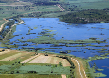 Na jezerima Hutovog blata evidentirano 20.000 ptica