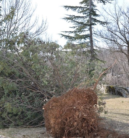 Široki Brijeg: Posljedice orkanskog nevremena na području župe Izbično