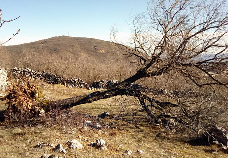 Široki Brijeg: Posljedice orkanskog nevremena na području župe Izbično
