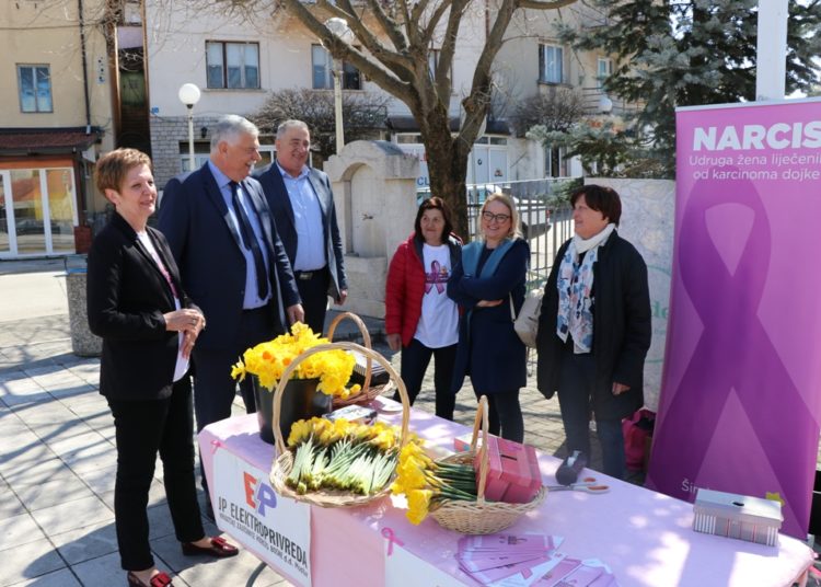 „Dan narcisa“ u Širokom Brijegu