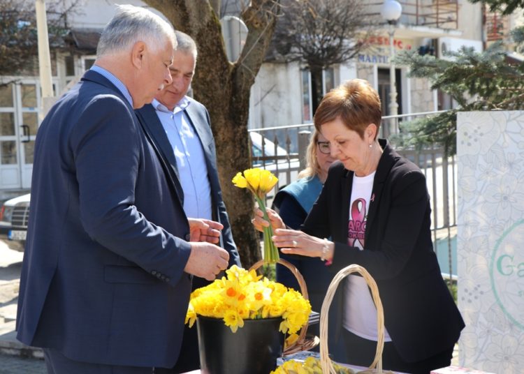 „Dan narcisa“ u Širokom Brijegu