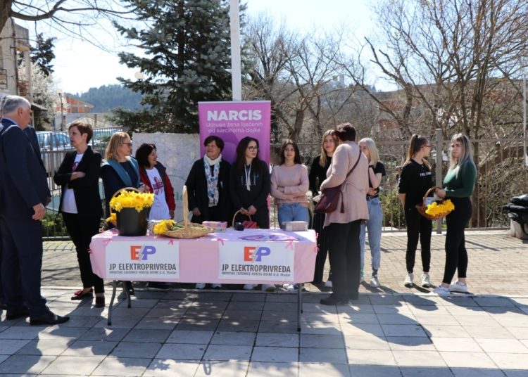 „Dan narcisa“ u Širokom Brijegu