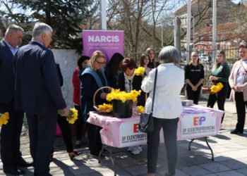 „Dan narcisa“ u Širokom Brijegu