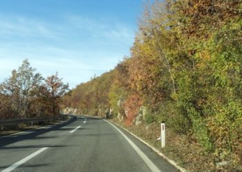 Neke ceste svrstane u magistralne među njima i cesta R-420 Posušje – Grude – Privalj