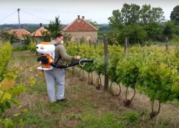 Preporuka za vinogradare, maslinare i voćare