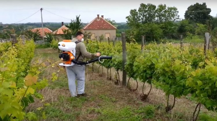 Preporuka za vinogradare, maslinare i voćare