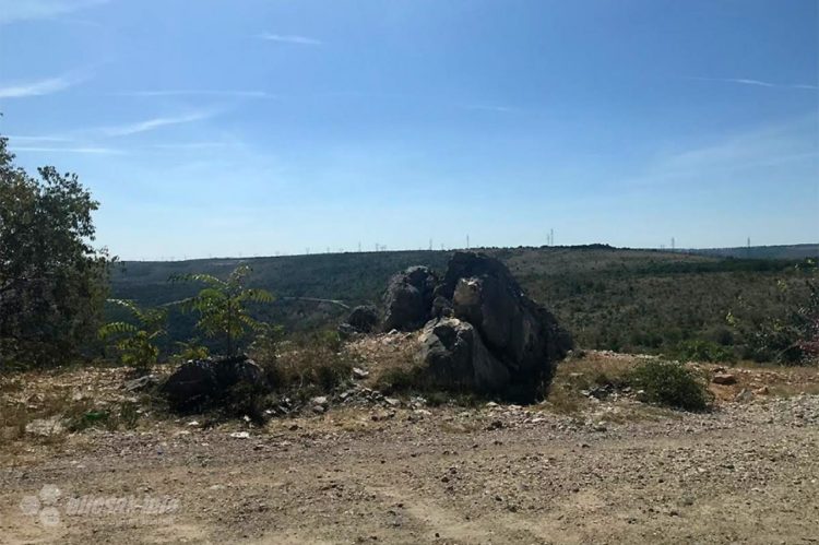 Majci iz Gruda 14 godina zatvora za ubojstvo novorođenčeta