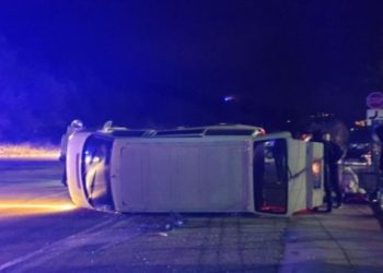 NESREĆA U GRUDAMA: Prevrnuo se kombi sa skupocjenim psima
