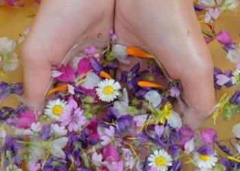 Dan koji počinje umivanjem u cvijeću: Znate li zašto se slavi Cvjetnica?