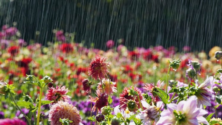 Za Praznik rada oblačno s pljuskovima