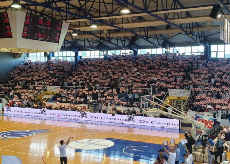 Užarena atmosfera na Pecari: HKK Široki ide po titulu prvaka!