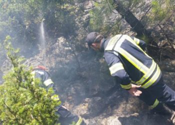 Gori šuma pokraj vodopada Kravica