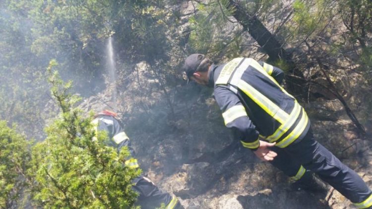 Gori šuma pokraj vodopada Kravica