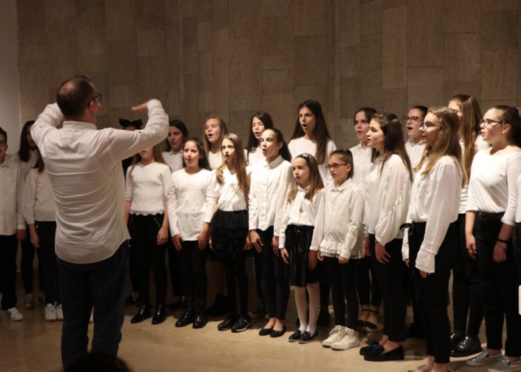 Odličan završni koncert Glazbene škole Široki Brijeg