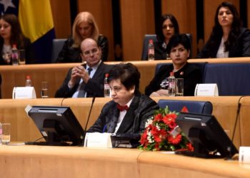 Majkić: Nema rada unutar Parlamenta BiH dok se ne formira Vijeće ministara BiH