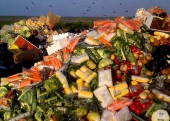 U BiH pola milijuna gladnih, a u smeću završe tone hrane