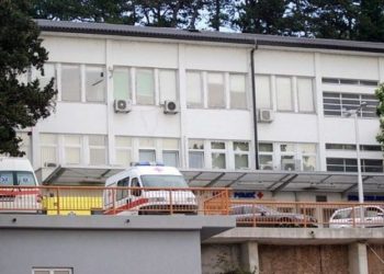 Široki Brijeg: Pas izgrizao dijete dok su slavili zadnji dan nastave