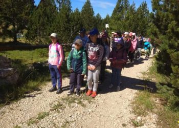 Ljetni kamp “Zelenkapica”: Nezaboravno iskustvo u prirodi uz učenje, druženje, izlete, radionice….