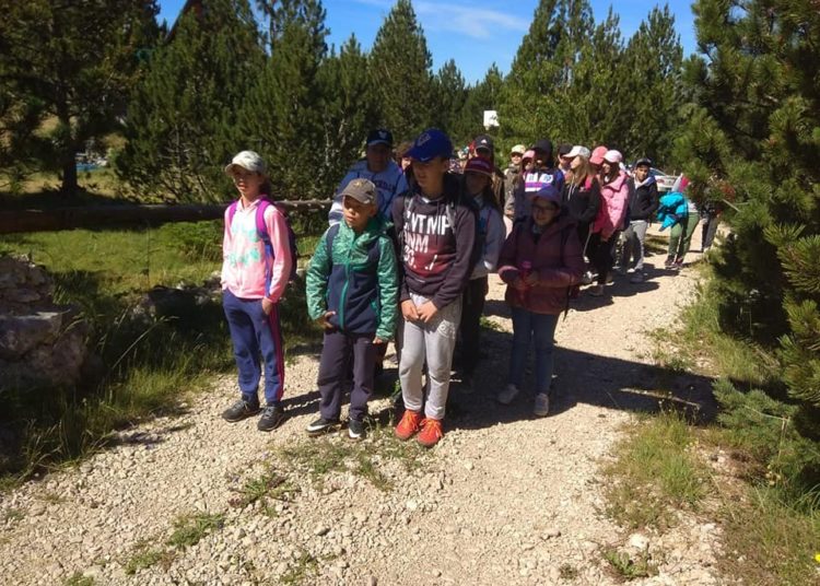 Ljetni kamp “Zelenkapica”: Nezaboravno iskustvo u prirodi uz učenje, druženje, izlete, radionice….