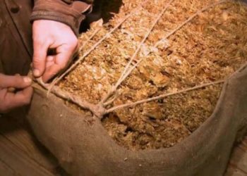 Policija ga uhvatila sa 130 kg duhana