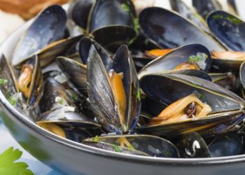 Ekstaza okusa: Genijalni recept za dagnje na buzaru