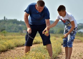 Eterična ulja povezala proizvođače Žepča i Hercegovine
