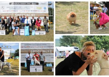 U Posušju na izložbi 323 psa iz 24 zemlje!