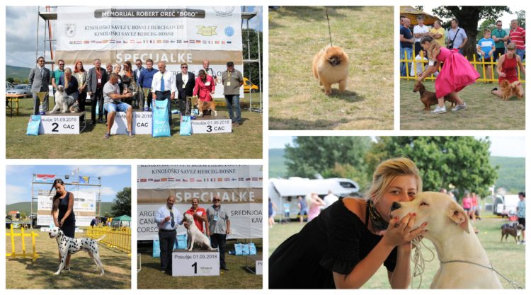 U Posušju na izložbi 323 psa iz 24 zemlje!