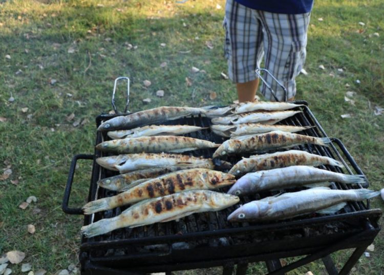 Održana 4. Fišijada na Krenici