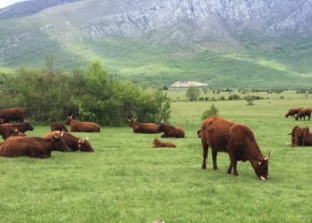 EU4Business: Poziv na informativni sastanak za potencijalne podnositelje prijava za dodjelu bespovratnih sredstava