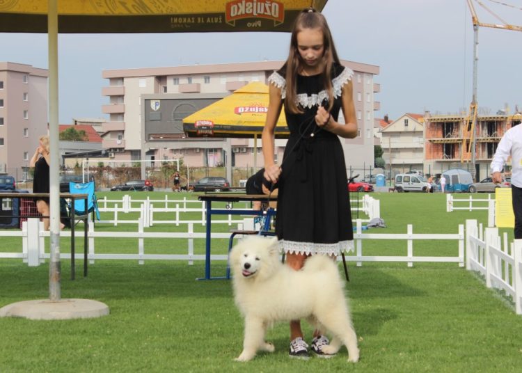 Posušje: Otvorena najveća izložba pasa u BiH!