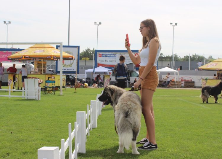 Posušje: Otvorena najveća izložba pasa u BiH!