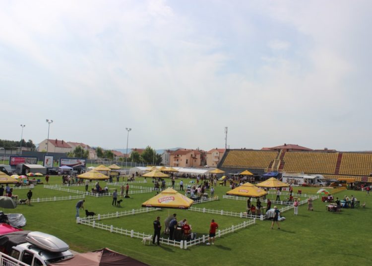 Posušje: Otvorena najveća izložba pasa u BiH!