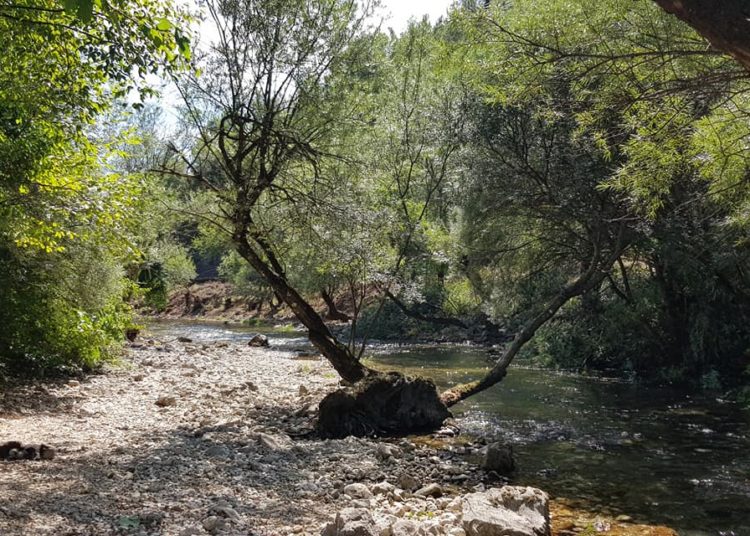 U Širokom Brijegu nastavljena akcija čišćenja Borka i korita rijeke Lištice