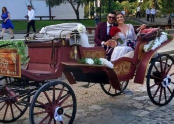Kočijom do Humca na vjenčanje i vožnja kroz Ljubuški do hotela