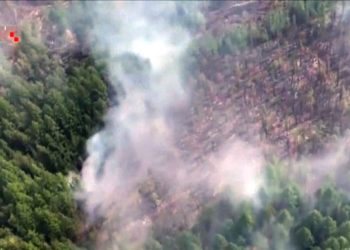 Požari u Sibiru podmetnuti kako bi se prikrila ilegalna sječa šume?