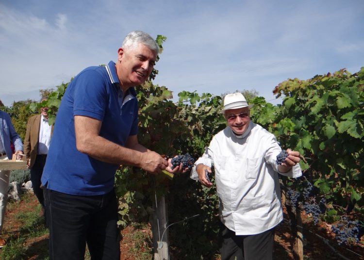 Druženje članova diplomatskog zbora s dužnosnicima Bosne i Hercegovine u Čitluku