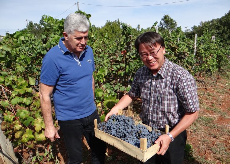 Druženje članova diplomatskog zbora s dužnosnicima Bosne i Hercegovine u Čitluku