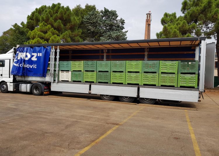 Rajčice iz Širokog Brijega: 1000 tona ide u Podravku