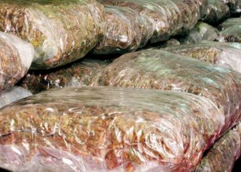 Na graničnom prijelazu Klek pronađeno gotovo 14 kilograma marihuane