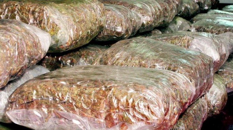 Na graničnom prijelazu Klek pronađeno gotovo 14 kilograma marihuane