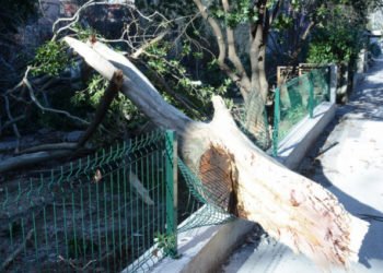 Općina Tomislavgrad za štetu od olujne bure potražuje 654.339,41 KM