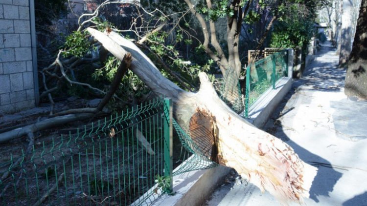 Općina Tomislavgrad za štetu od olujne bure potražuje 654.339,41 KM