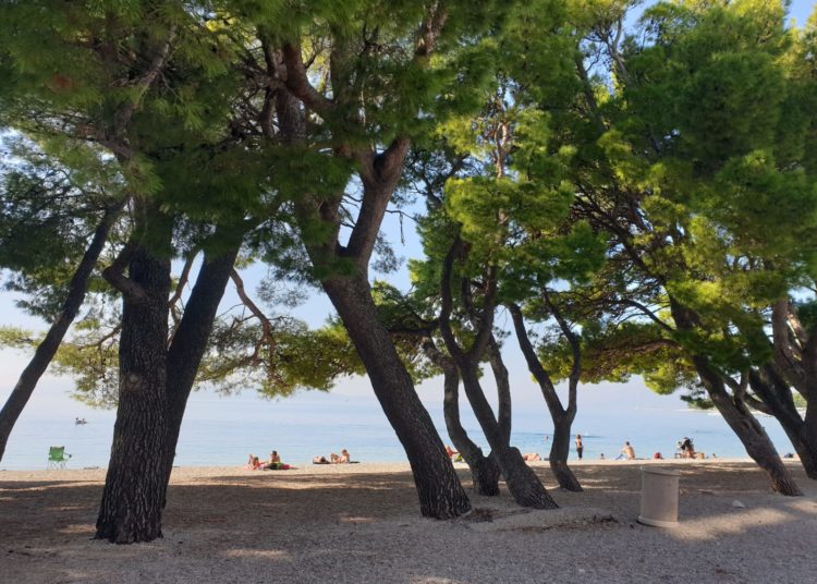 Fotoreportaža iz Makarske: Veliki broj kupača i krajem listopada