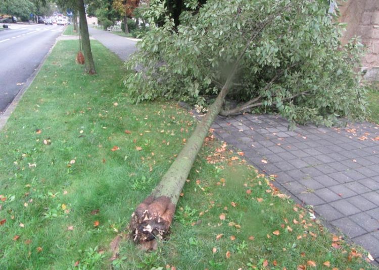 Olujno nevrijeme izazvalo štete u Ljubuškom